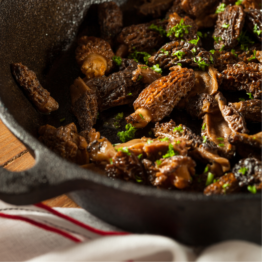 Morel Mushrooms - Dried