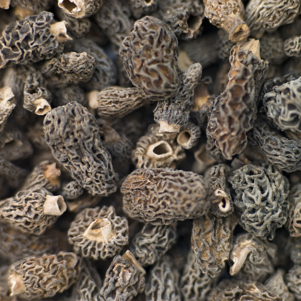 Morel Mushrooms - Dried