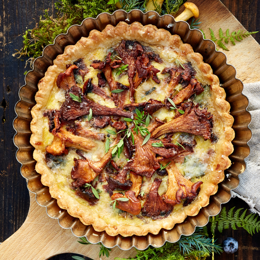 Mushroom Meals and Snacks