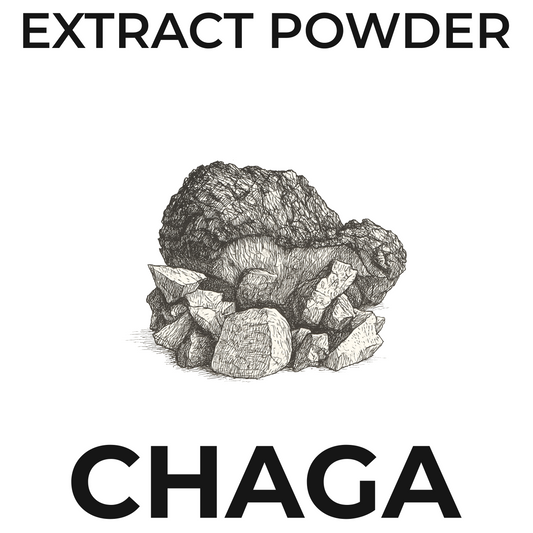 Mushroom Extract Powder- Chaga