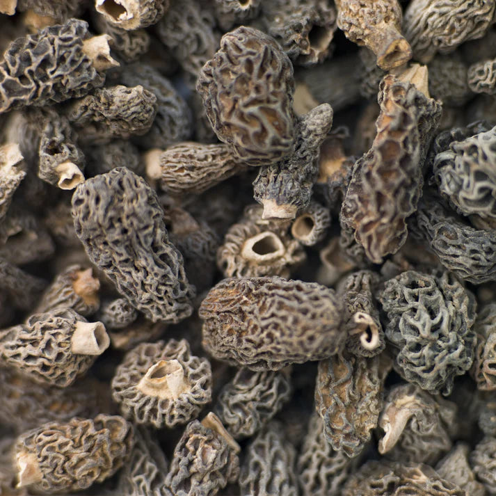 Morel Mushrooms - Dehydrated