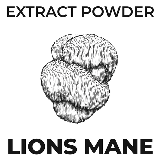 Mushroom Extract Powder- Lions Mane