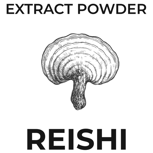 Mushroom Extract Powder- Reishi