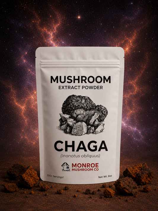Mushroom Extract Powder- Chaga