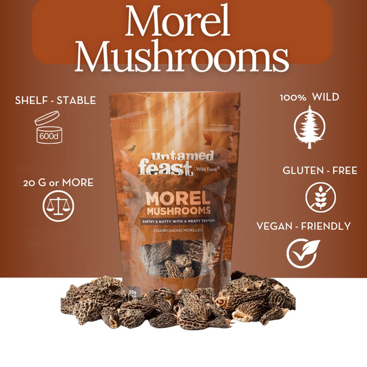 Morel Mushrooms - Dried