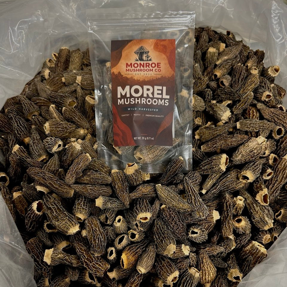Morel Mushrooms - Dehydrated